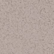 Torginol® | Magnolia